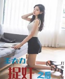 王大力捉奸之后